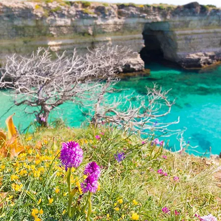 Apartament Frida In Salento
